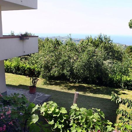 Garden Ville Izola Mira Exteriér fotografie