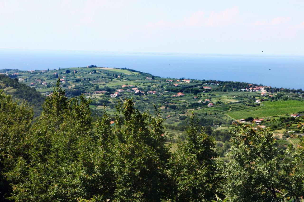 Garden Ville Izola Mira Exteriér fotografie